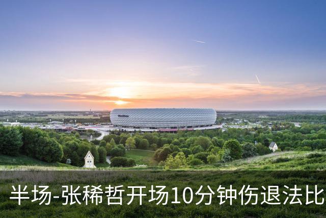 半场-张稀哲开场10分钟伤退法比奥远射造险 北京国安0-0武汉三镇
